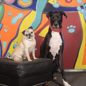 Fundraising Page: Joann Kern